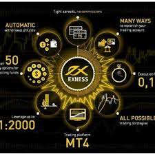 Exness Stock Trading