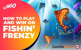 Fishin' Frenzy Casinos A Deep Dive into the Exciting World of Online Slot Gaming Fishin' Frenzy Casinos A Deep Dive into the Exciting World of Online Slot Gaming