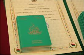 How to Apply for a Vanuatu Passport A Comprehensive Guide 880739596