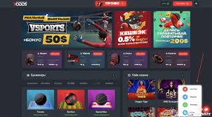 Лайв-трансляции для ставок на крикет как сделать правильный выбор Лайв-трансляции для ставок на крикет как сделать правильный выбор